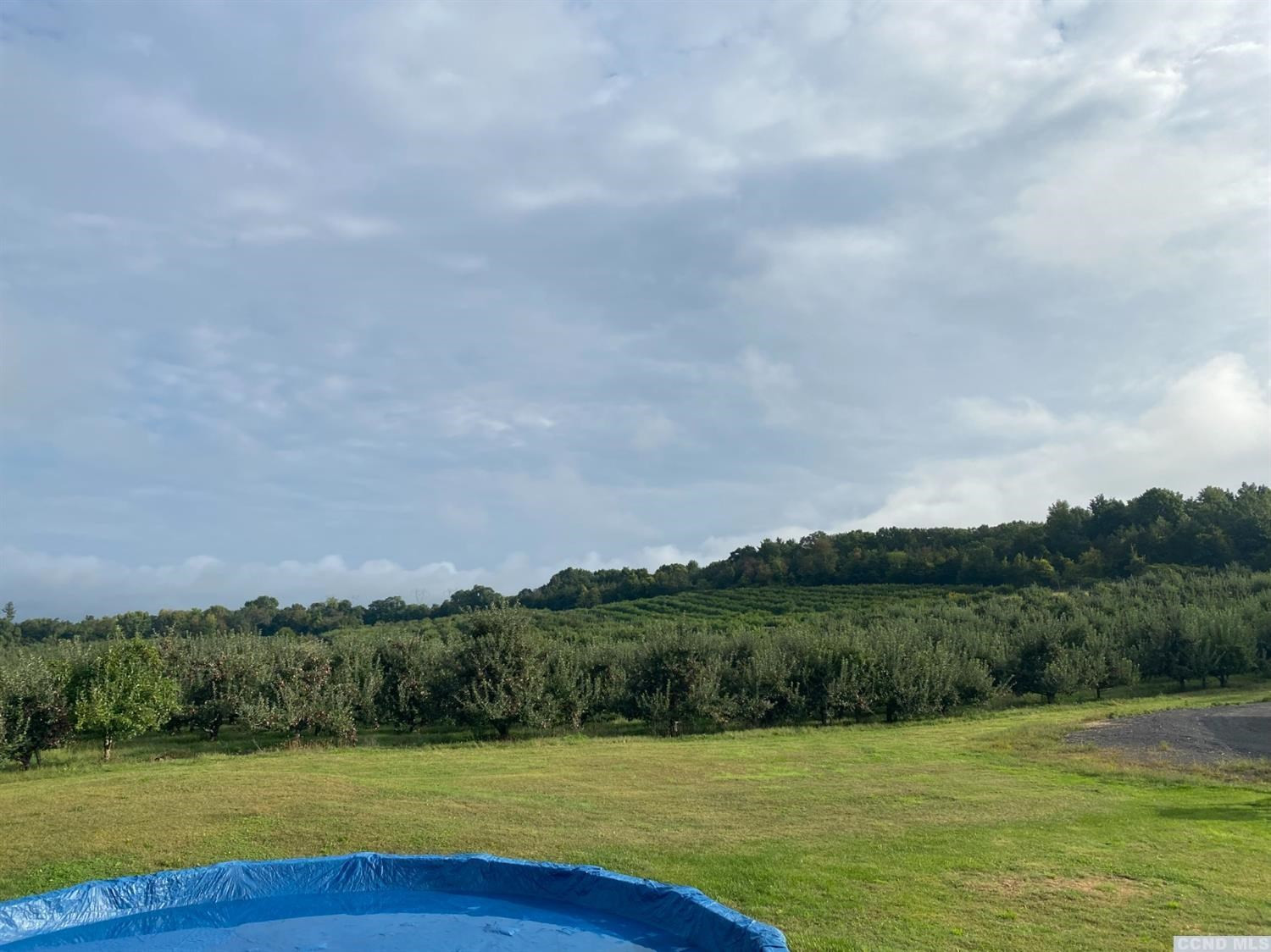 221 Cold Spring Road Livingston, NY 12534 - Photo 8 of 15 Photo 8