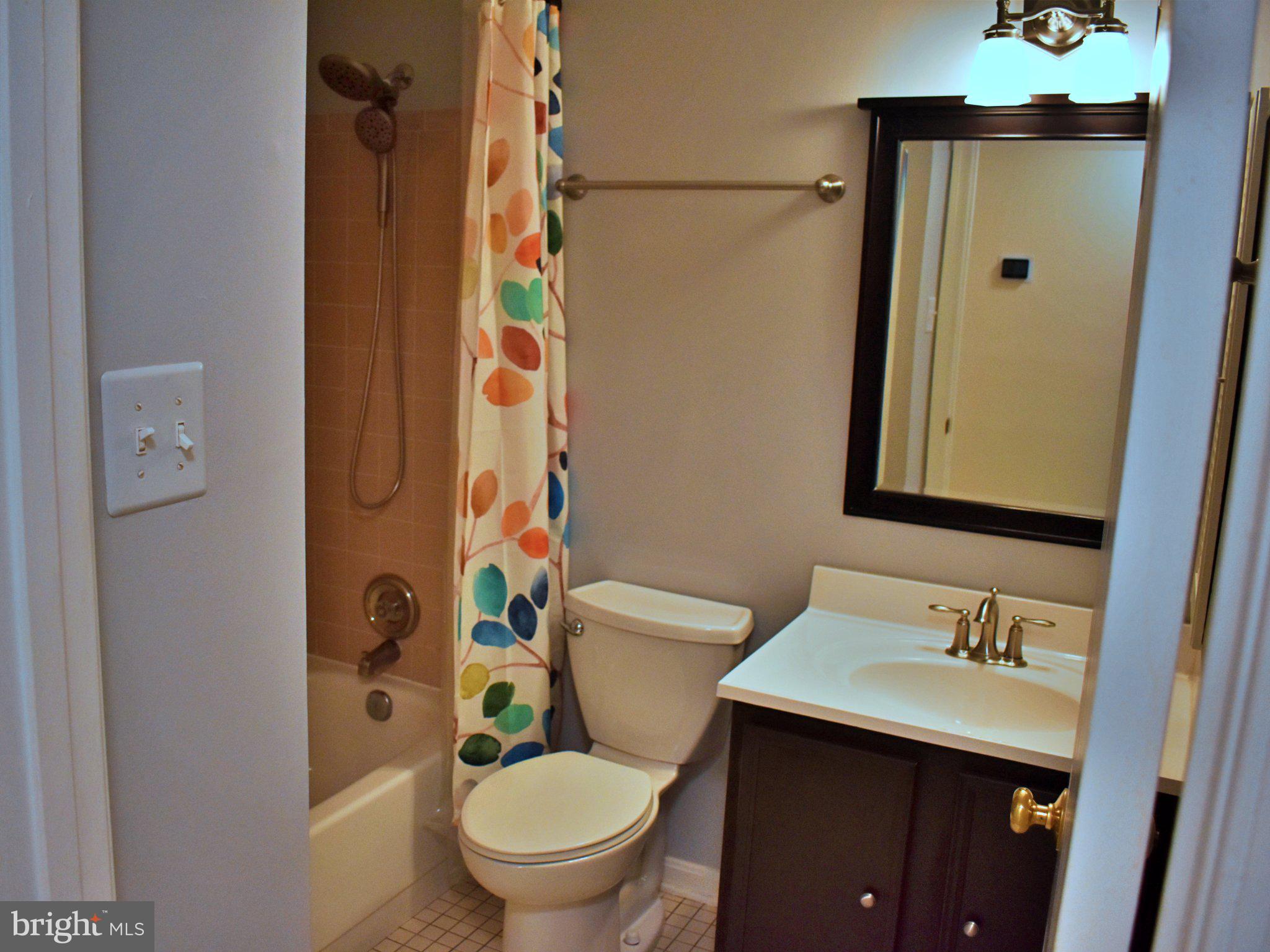 8097 Winding Way Court Springfield, VA 22153 - Photo 22 of 44 Charming bathroom with vibrant accents.