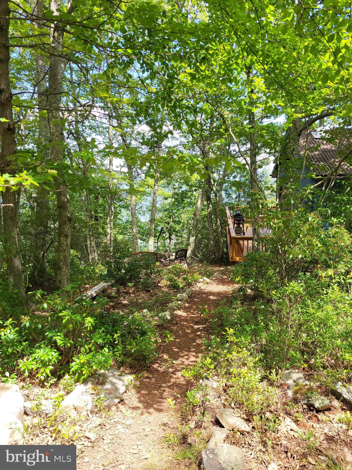 207 Lower Knob Road Franklin, WV 26807 - Photo 29 of 30