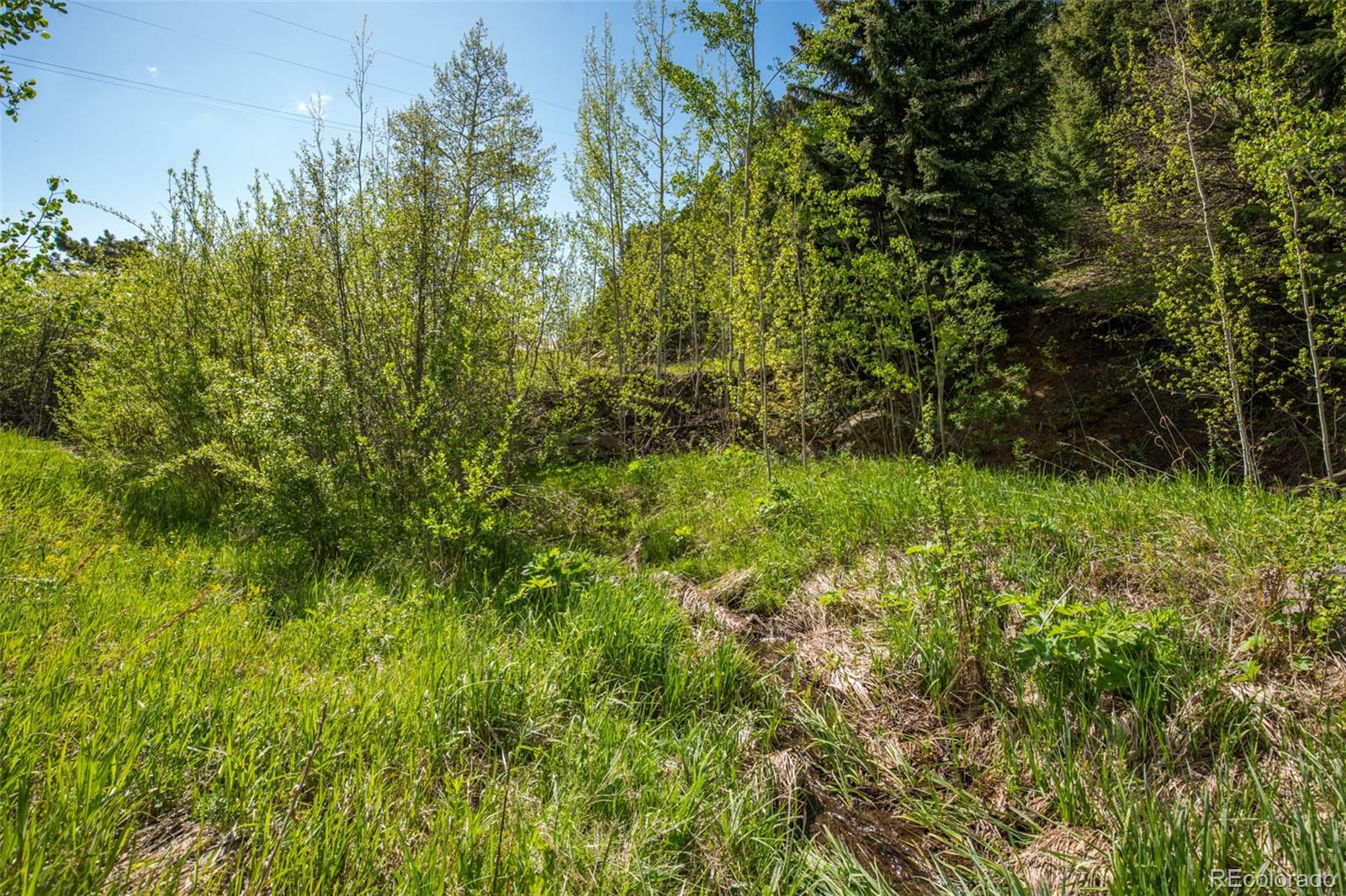 32550 Robinson Hill Road Golden, CO 80403 - Photo 3 of 31 Gallery Image 3
