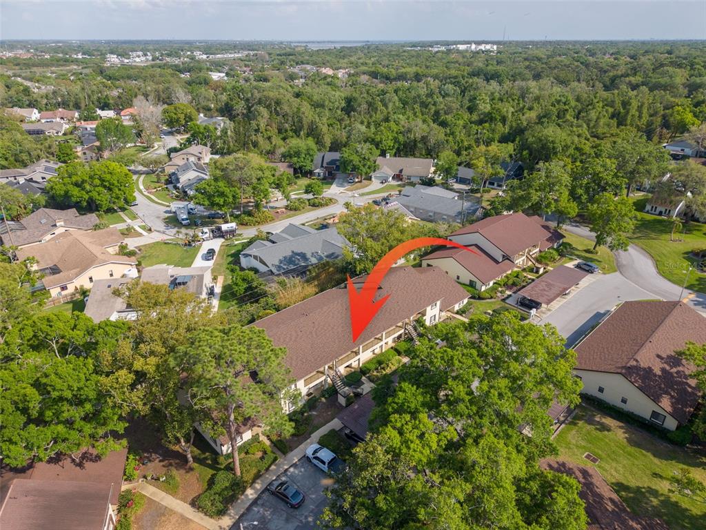 3590 Magnolia Ridge Circle, Unit C1103 Palm Harbor, FL 34684 - Photo 26 of 31 an aerial view of residential houses with outdoor space and trees