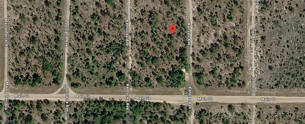 $10,000 | Illinois Avenue, Hawthorne, FL 32640