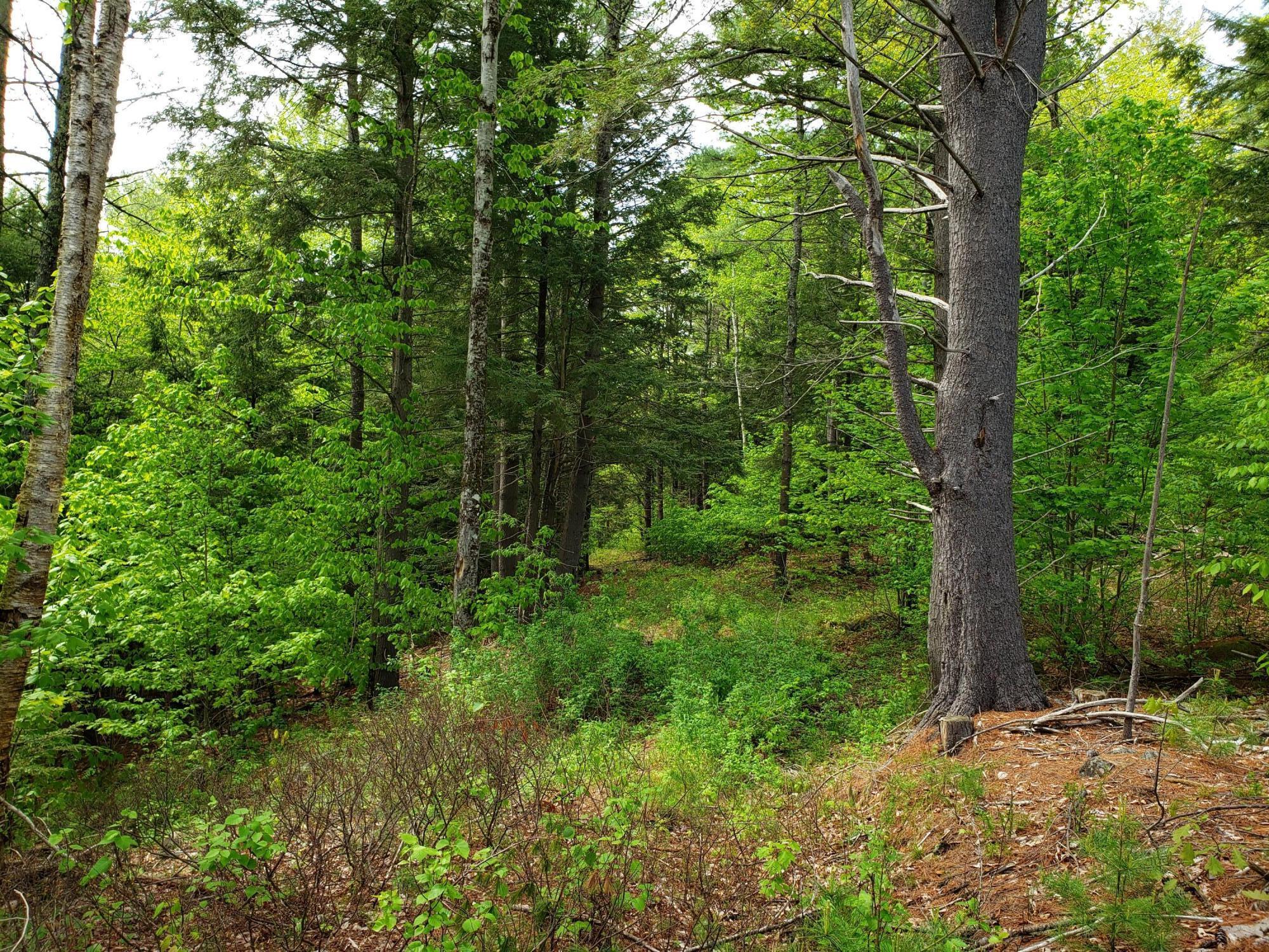 300 Valley Road Jefferson, ME 04348 - Photo 32 of 66 20220521_150037