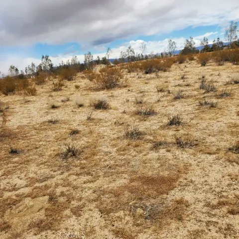 $25,000 | 0 Black Mountain Boulevard, Inyokern, CA 93527