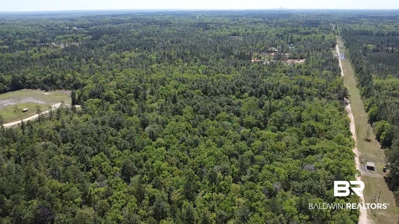 0 I-65 Service Road Creola, AL 36525 - Photo 5 of 20 Aerial view with a wooded view