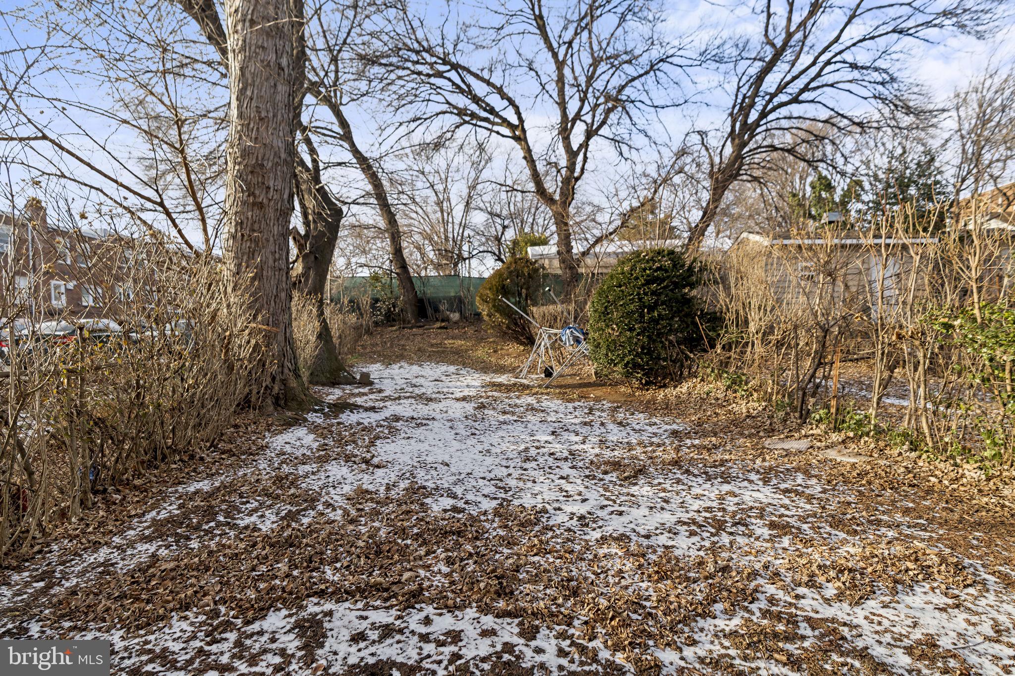 6014 Oakland Street Philadelphia, PA 19149 - Photo 11 of 13 a view of a yard with plants and trees