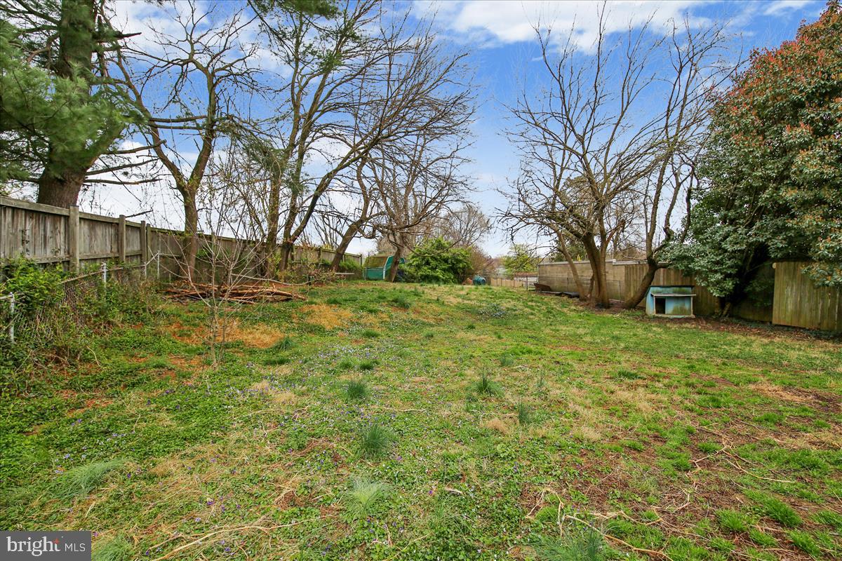3813 Brightview Street Silver Spring, MD 20902 - Photo 3 of 32 Backyard