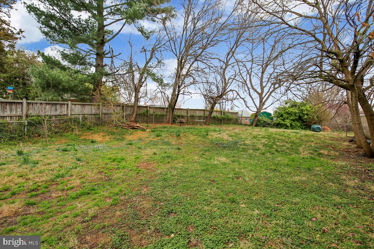3813 Brightview Street Silver Spring, MD 20902 - Photo 28 of 32 Yard