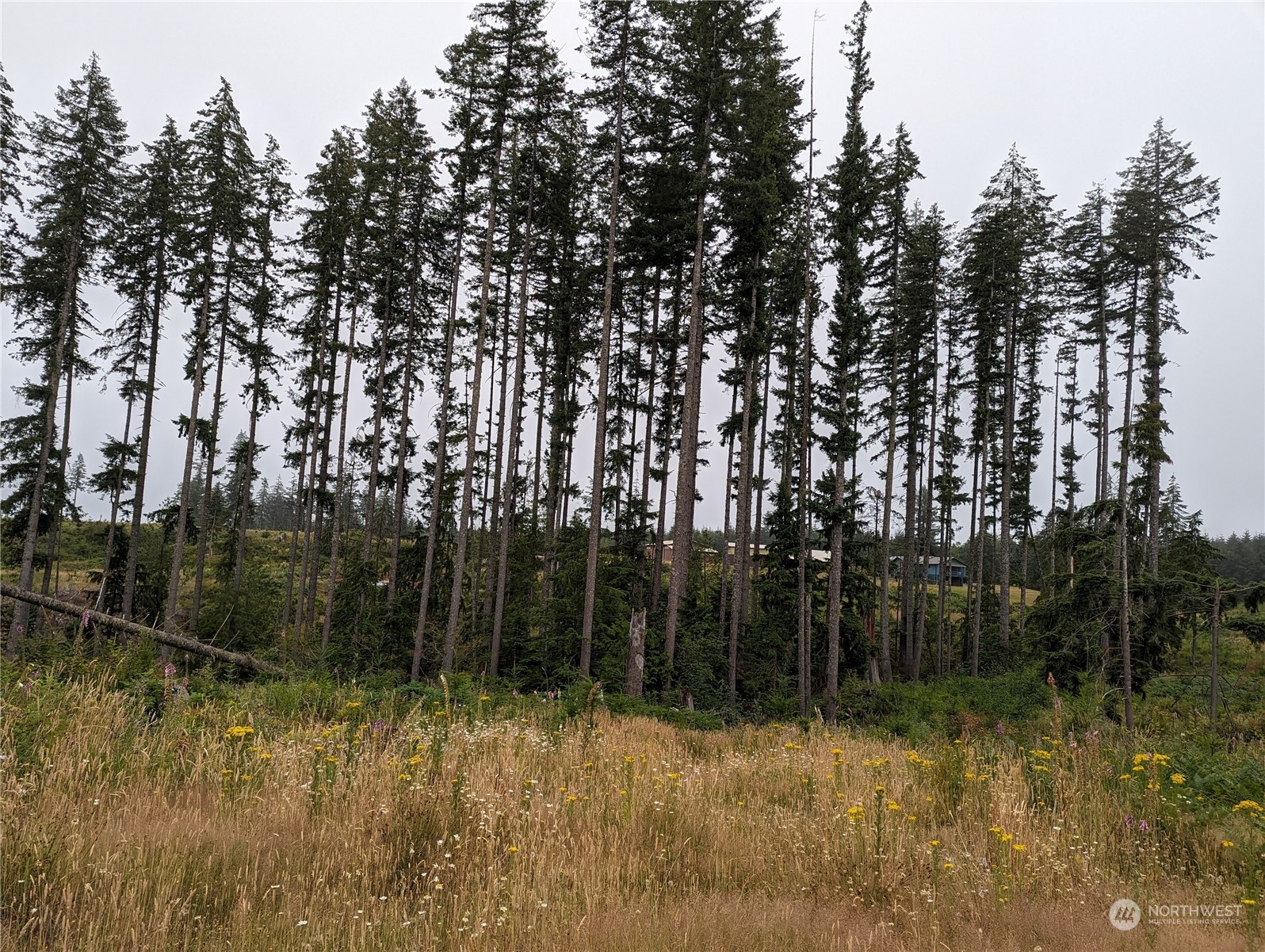 0 Headquarters Road Kelso, WA 98626 - Photo 4 of 6