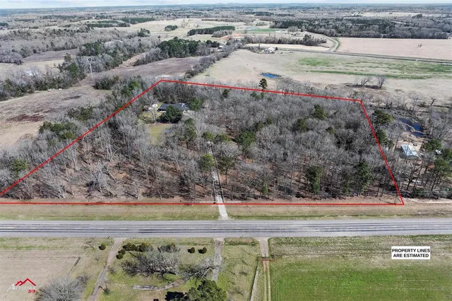 a view of a yard with large trees
