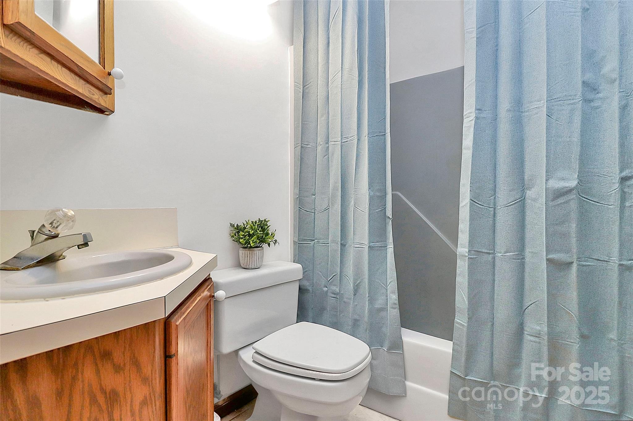 3311 Camden Road Marshville, NC 28103 - Photo 14 of 29 a bathroom with a sink a toilet and shower