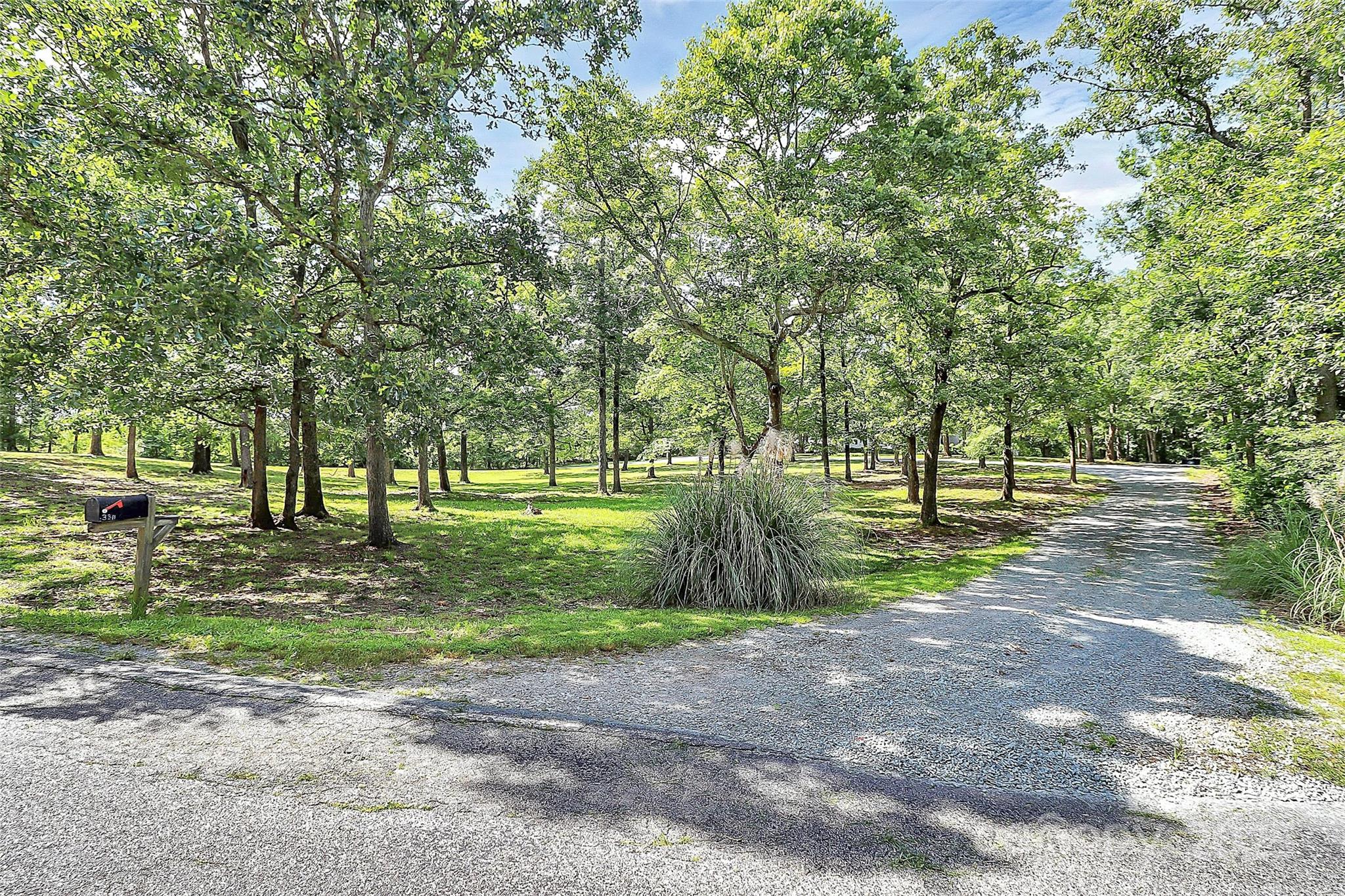 3311 Camden Road Marshville, NC 28103 - Photo 28 of 29 a view of a tree in a yard