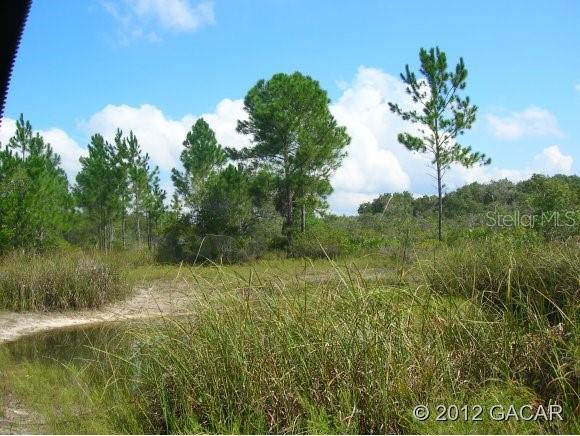 0 Southwest County Road, Unit 15 Cedar Key, FL 32625 - Photo 1 of 1 Gallery Image 1