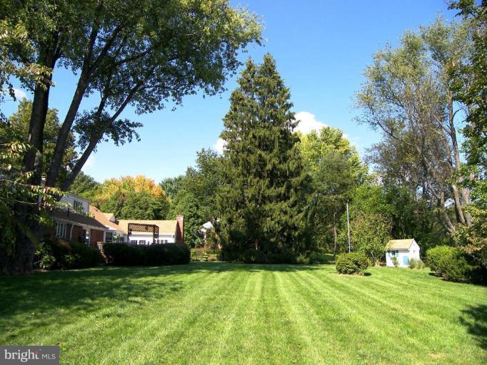 15401 Tierra Drive Silver Spring, MD 20906 - Photo 18 of 22 Back yard
