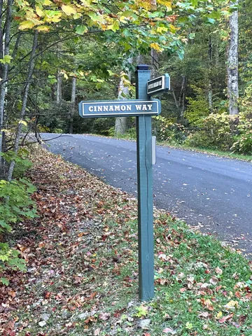 3715 Cinnamon Way, Sevierville, TN 37862