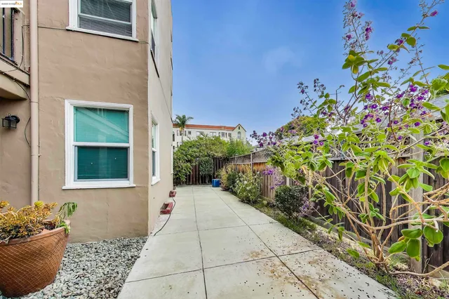 a view of a backyard with plants