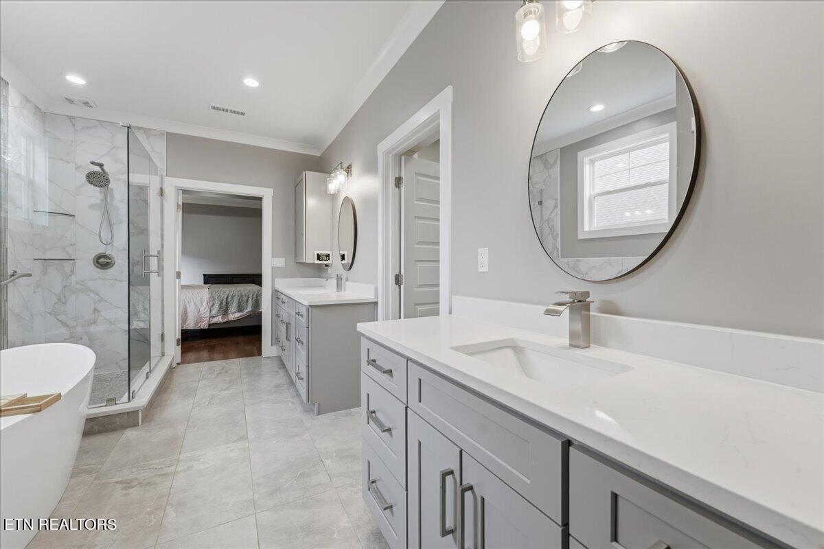 342 Mingo Way Loudon, TN 37774 - Photo 24 of 57 24-Primary Bath