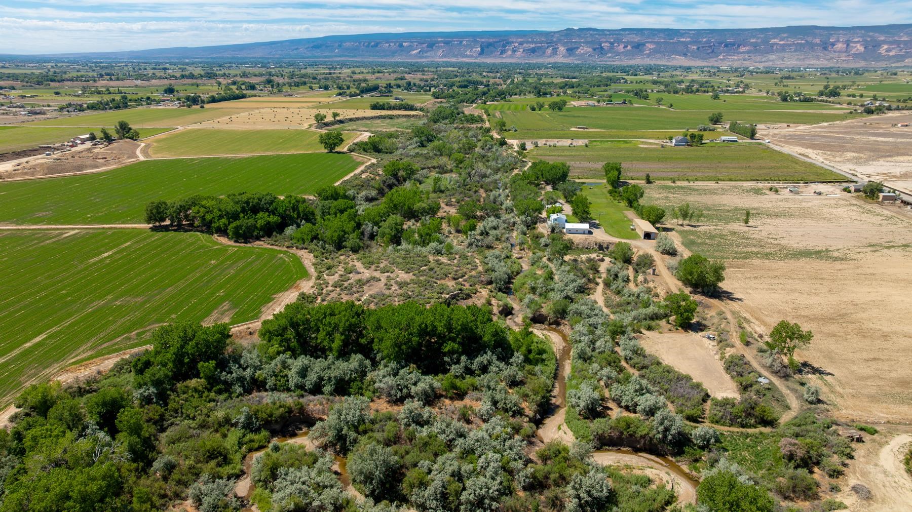 1726 O Road Fruita, CO 81521 - Photo 14 of 42