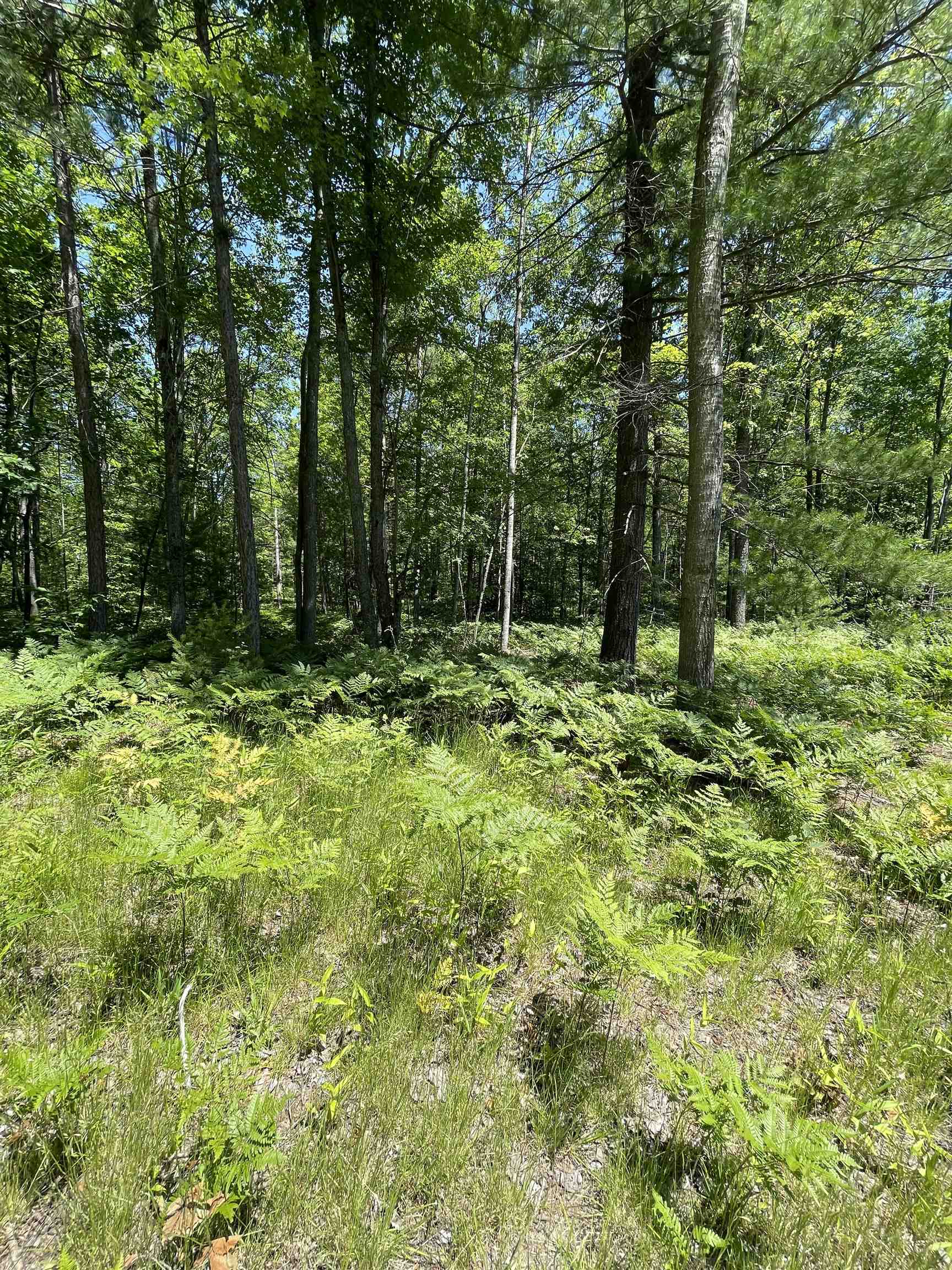 Vl West Packingham Road Lake City, MI 49651 - Photo 15 of 15 1902254-14.JPG