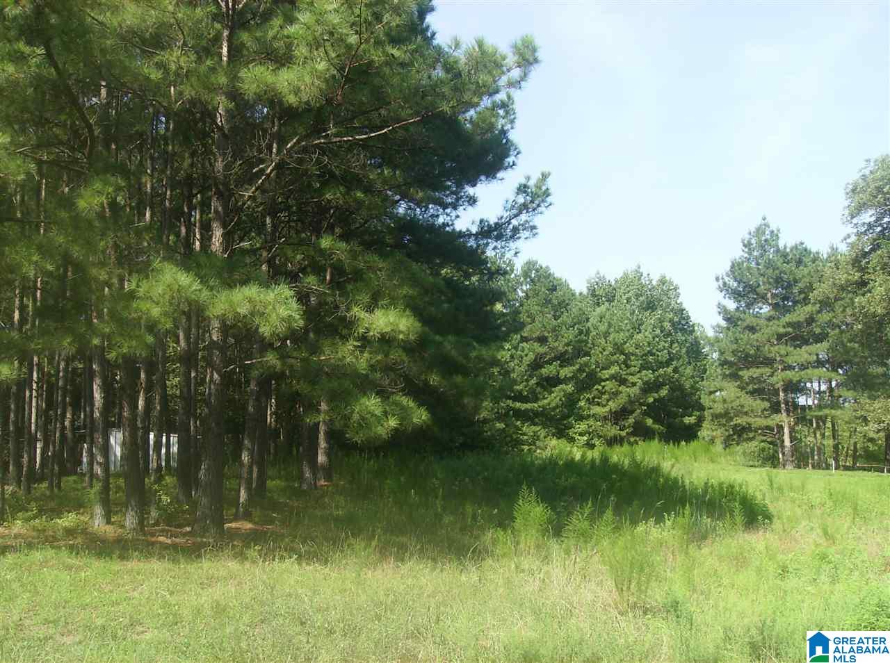 A County Road 73, Unit 1 Randolph, AL 36792 - Photo 3 of 3
