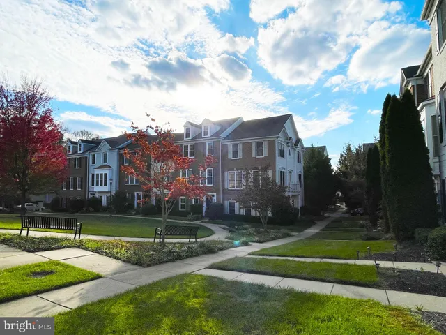a view of a park with a large trees