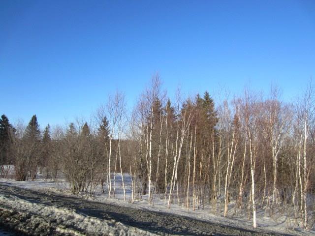 0 Daigle Crossing Road St. Agatha, ME 04772 - Photo 3 of 3 Photo