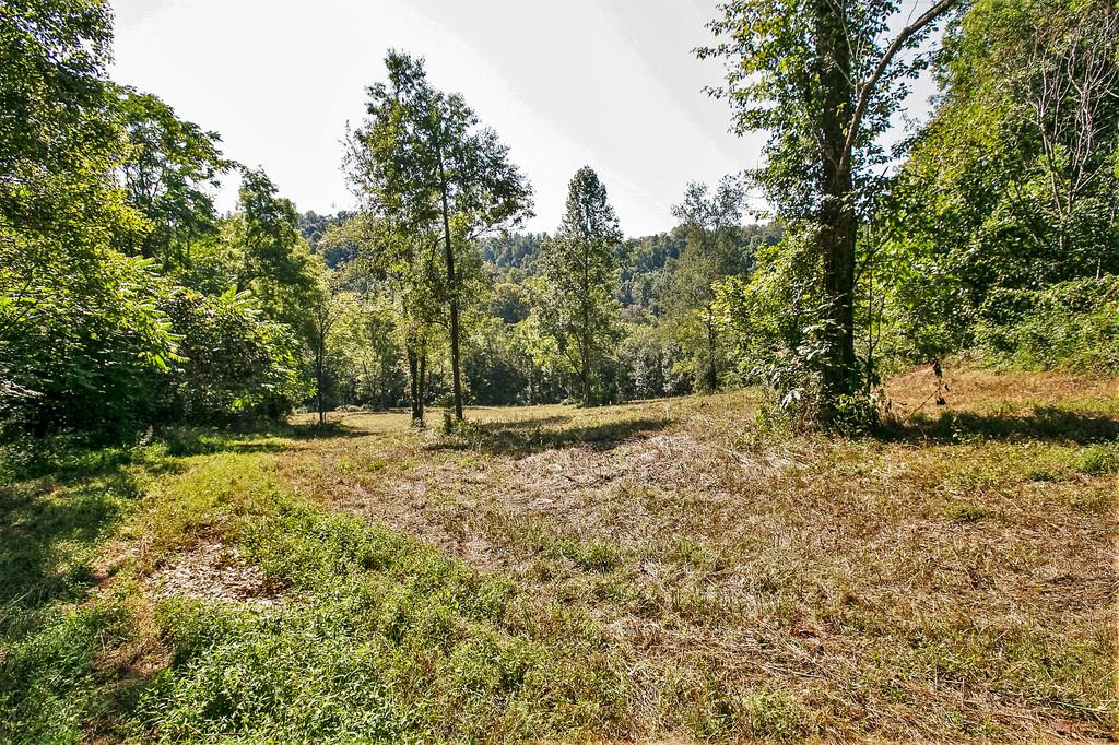 908 Jernigans Branch Road Beechgrove, TN 37018 - Photo 7 of 28