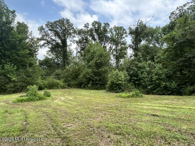2096 Swilley Road Wesson, MS 39191 - Photo 83 of 86 IMG_4377