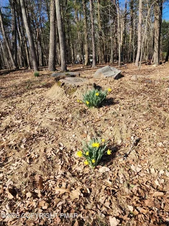 $2,700 | 5239 Birchwood Drive, Tannersville, PA 18372