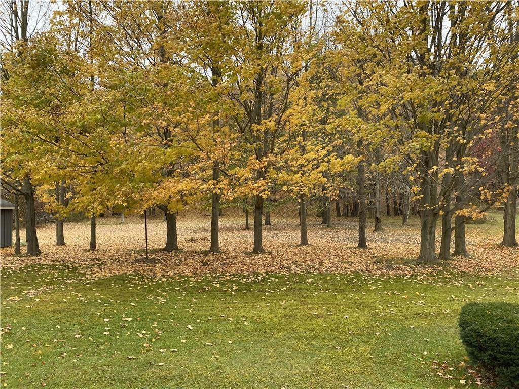 12041 Edinboro Road Edinboro, PA 16412 - Photo 10 of 12 Gallery Image 10