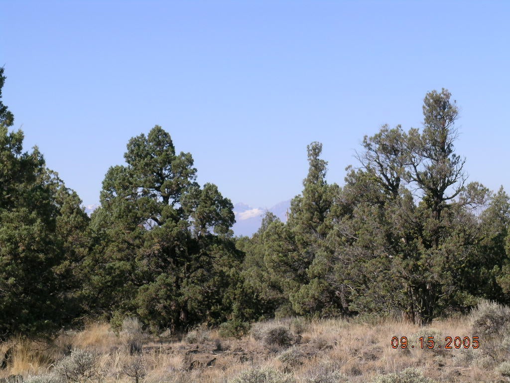 16901 Southwest Mount Adams Loop Powell Butte, OR 97753 - Photo 8 of 10 DSCN0384