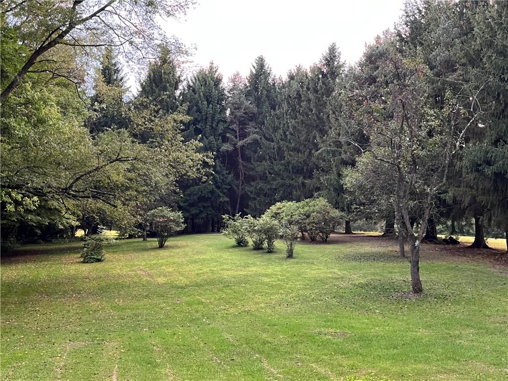 1575 Dutch Ridge Road Beaver, PA 15009 - Photo 46 of 50 Orchard with Blueberry Bushes