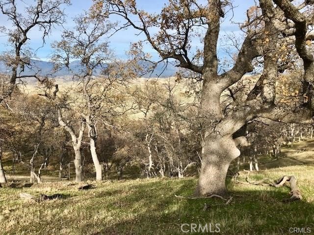 0 Mcauliffe Road Cottonwood, CA 96022 - Photo 14 of 59 a backyard of a house with lots of green space