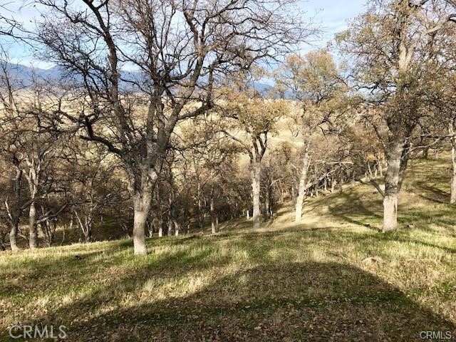0 Mcauliffe Road Cottonwood, CA 96022 - Photo 15 of 59 a view of outdoor space and yard