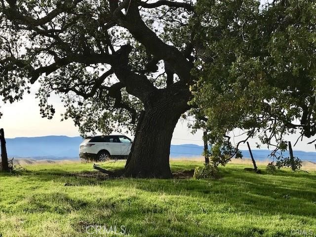 0 Mcauliffe Road Cottonwood, CA 96022 - Photo 16 of 59 a view of yard with tree s