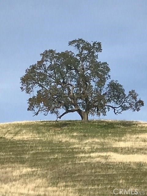 0 Mcauliffe Road Cottonwood, CA 96022 - Photo 28 of 59 a view of a lake view