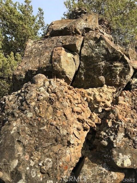 0 Mcauliffe Road Cottonwood, CA 96022 - Photo 29 of 59 a view of a yard