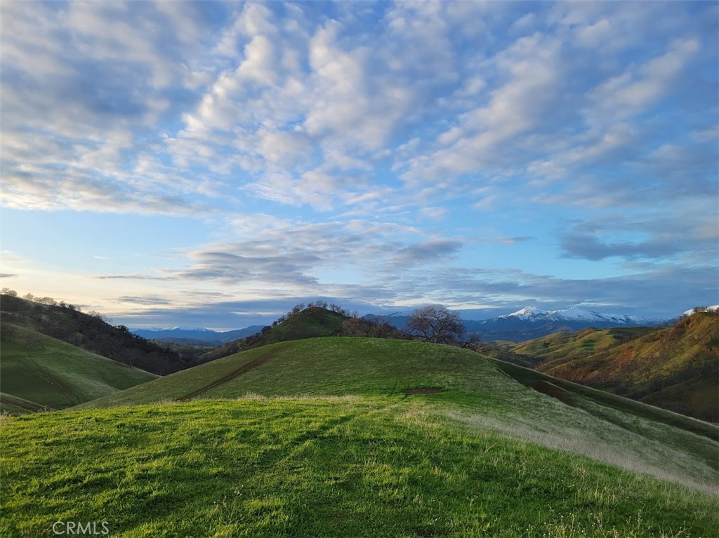 0 Mcauliffe Road Cottonwood, CA 96022 - Photo 38 of 59 BEAUTY EVERYWHERE