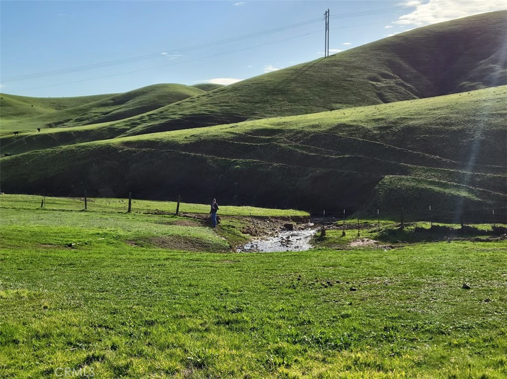 0 Mcauliffe Road Cottonwood, CA 96022 - Photo 40 of 59 a view of a green field