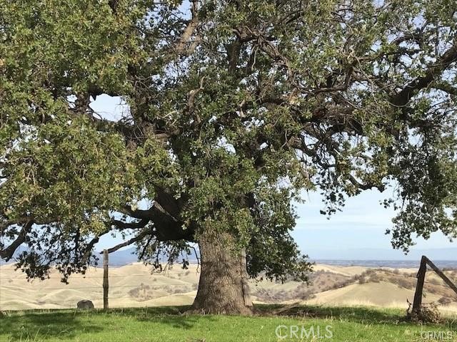 0 Mcauliffe Road Cottonwood, CA 96022 - Photo 7 of 59 a view of a tree in a yard