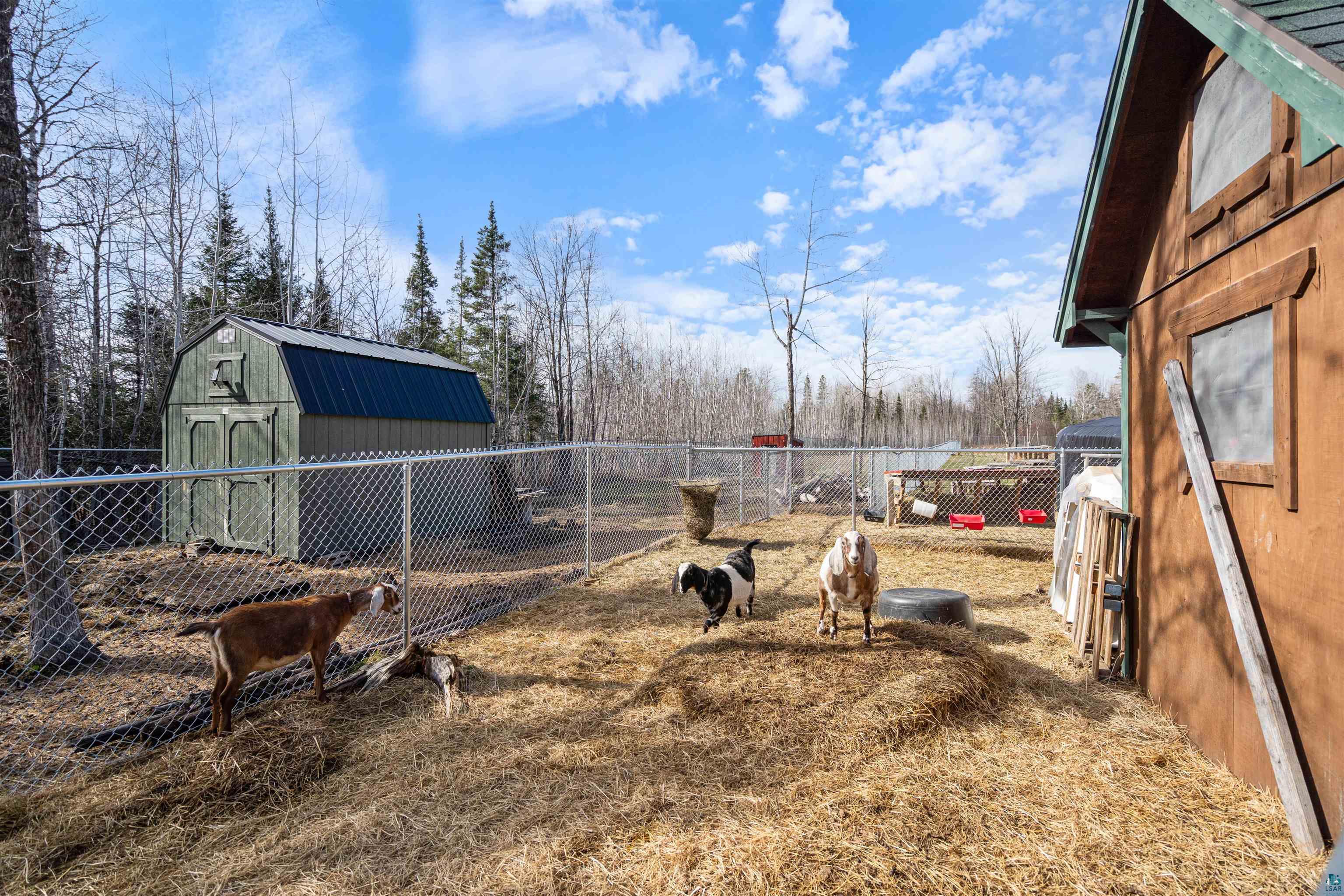 3521 South Fire Trail Eveleth, MN 55734 - Photo 46 of 55