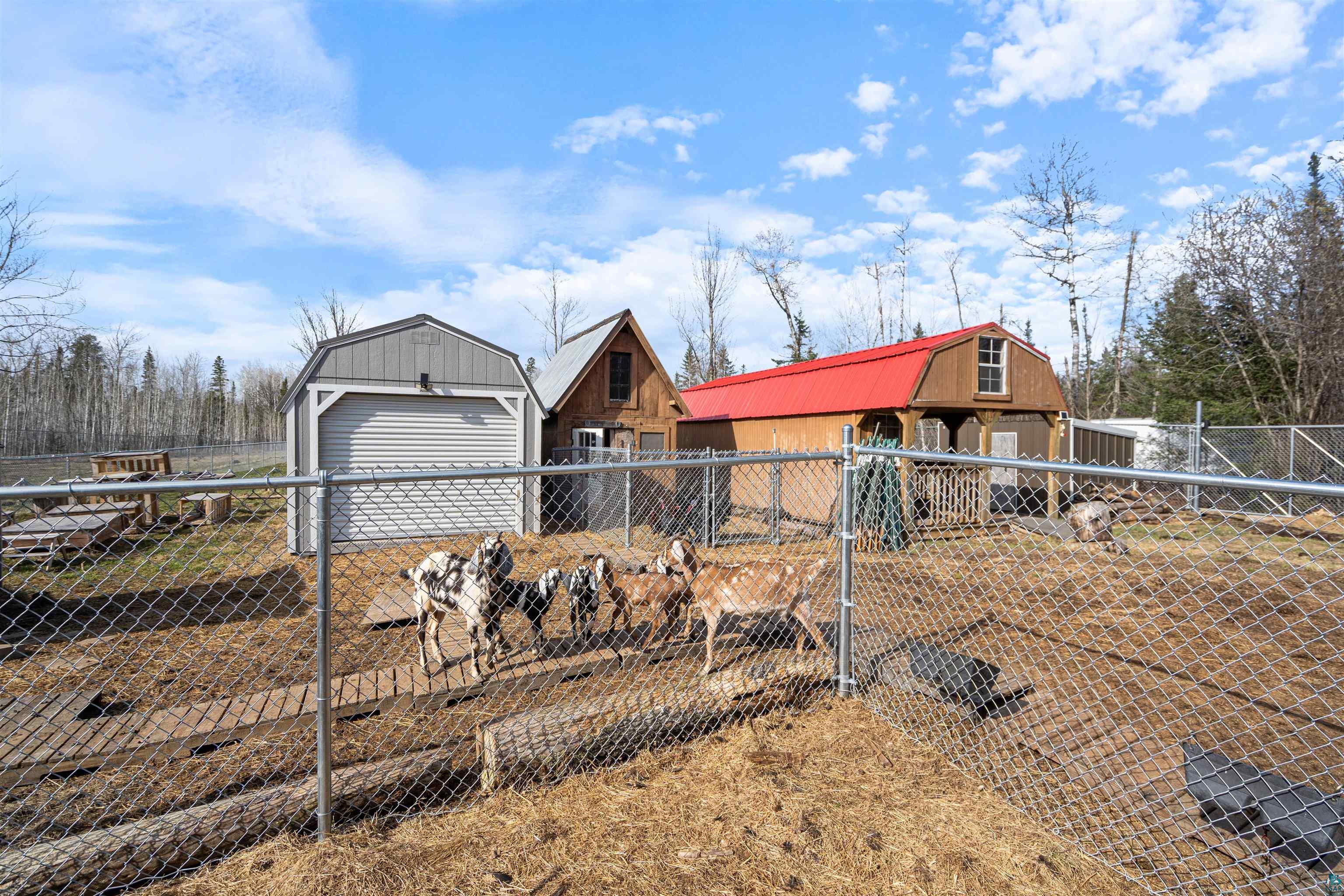 3521 South Fire Trail Eveleth, MN 55734 - Photo 48 of 55