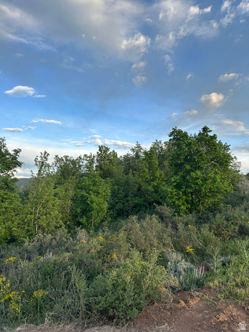 73 North River View Road, Unit 73 Huntsville, UT 84317 - Photo 12 of 21 Expansive natural landscape with varied foliage, including mature trees and native shrubs