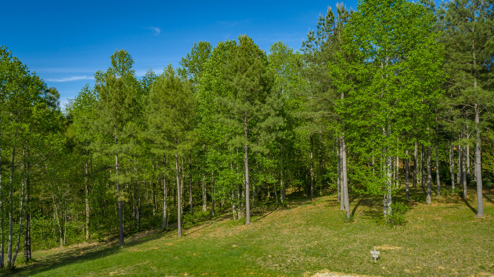 300 Deer Ridge Point, Unit SV190 Jasper, TN 37347 - Photo 11 of 85 300 Deer Ridge Point - JH190 HD-2