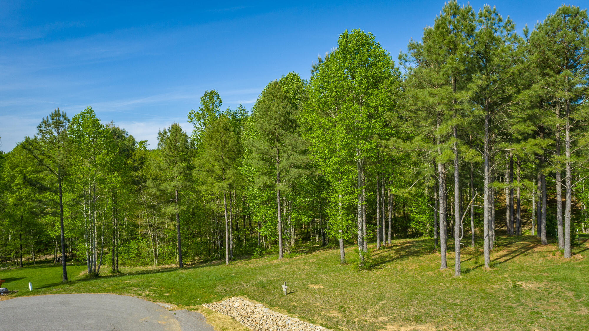 300 Deer Ridge Point, Unit SV190 Jasper, TN 37347 - Photo 13 of 85 300 Deer Ridge Point - JH190 HD-4