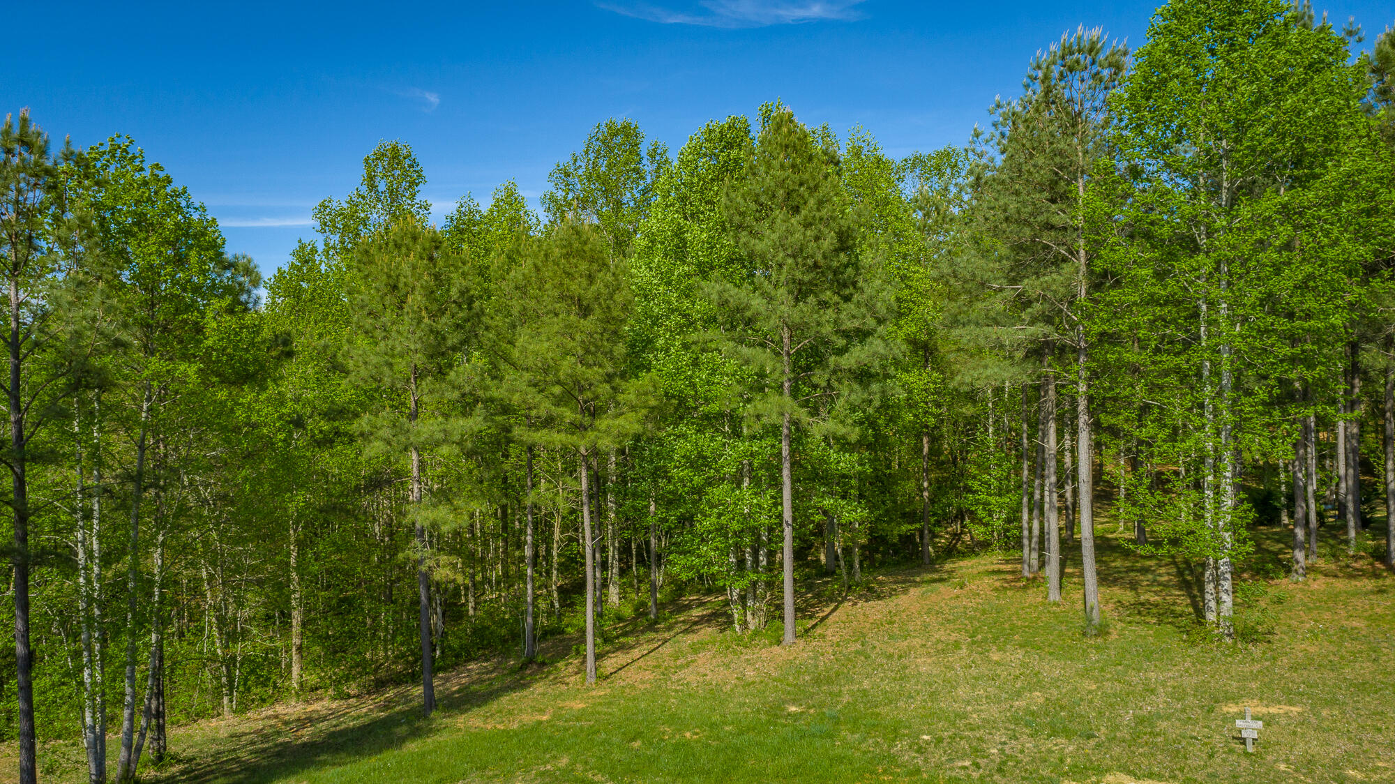 300 Deer Ridge Point, Unit SV190 Jasper, TN 37347 - Photo 15 of 85 300 Deer Ridge Point - JH190 HD-6