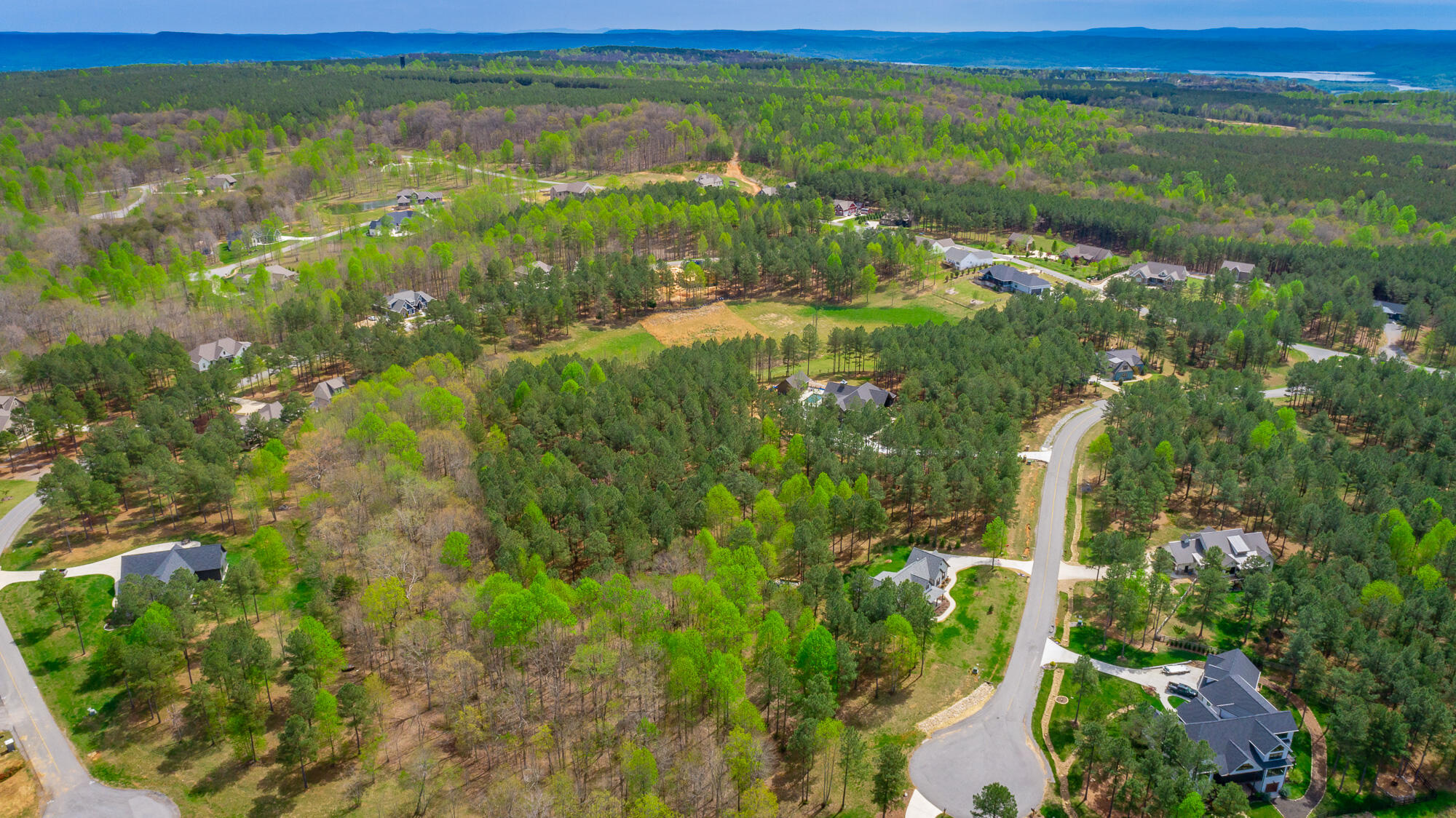 300 Deer Ridge Point, Unit SV190 Jasper, TN 37347 - Photo 20 of 70 300 Deer Ridge Pointe Lot JH190 HD-23