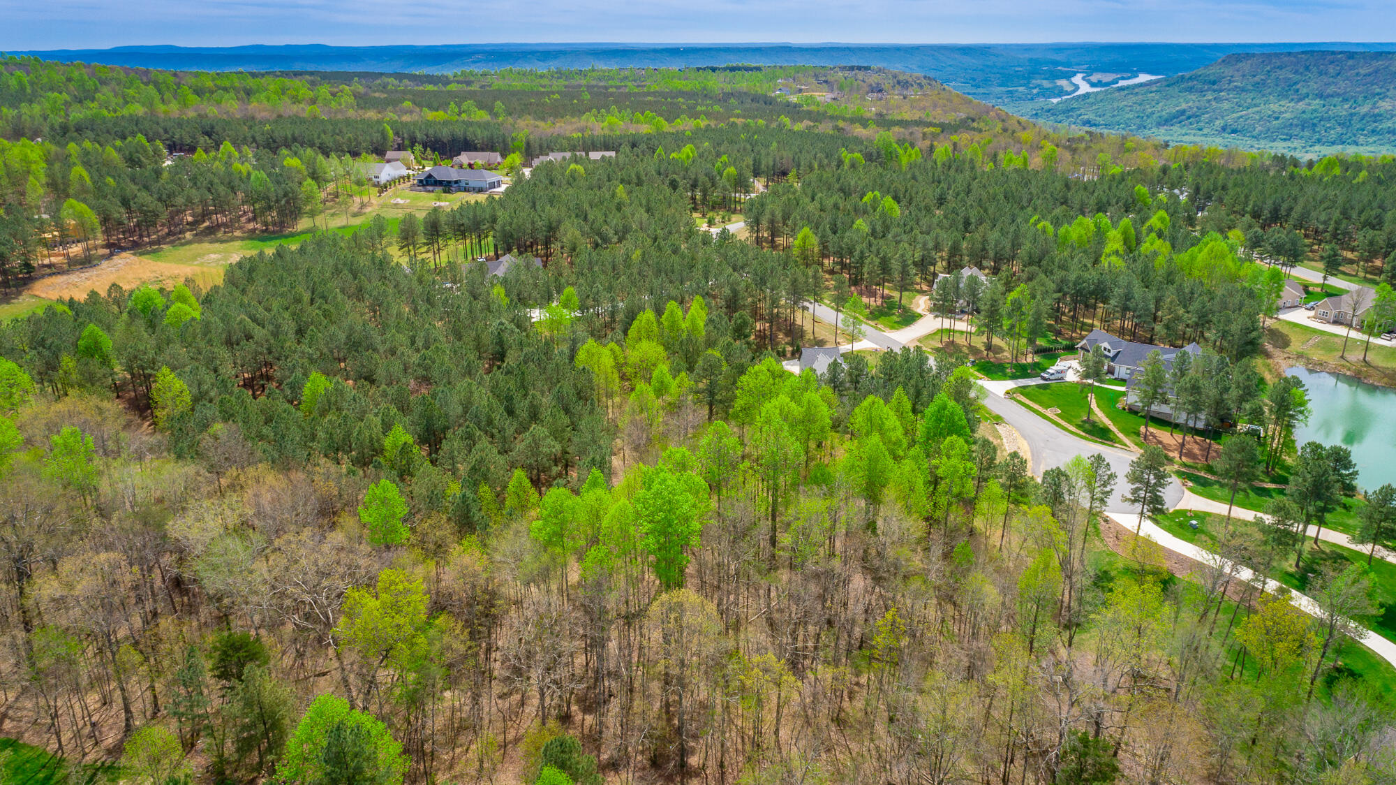 300 Deer Ridge Point, Unit SV190 Jasper, TN 37347 - Photo 22 of 70 300 Deer Ridge Pointe Lot JH190 HD-25