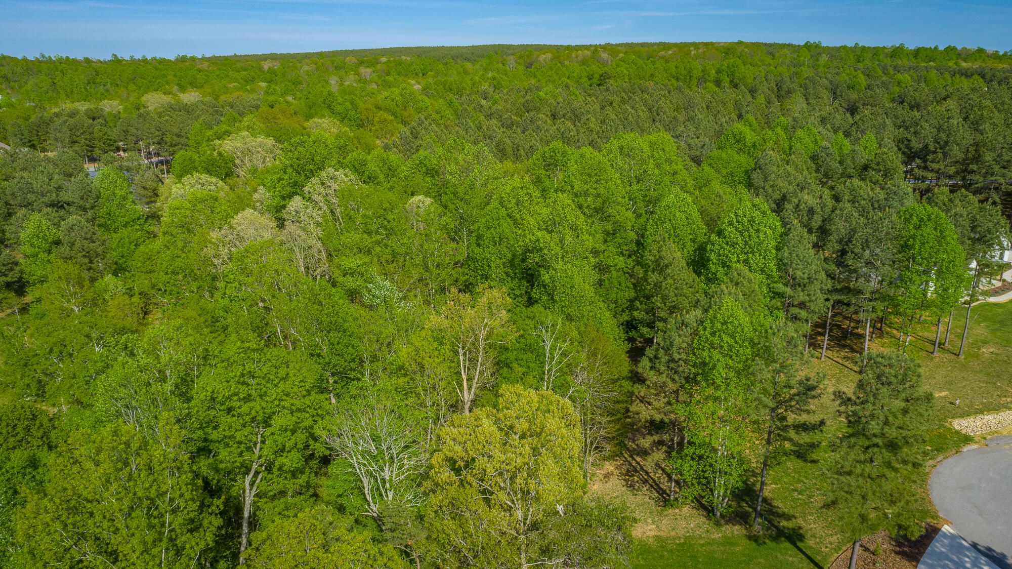 300 Deer Ridge Point, Unit SV190 Jasper, TN 37347 - Photo 22 of 85 300 Deer Ridge Point - JH190 HD-13