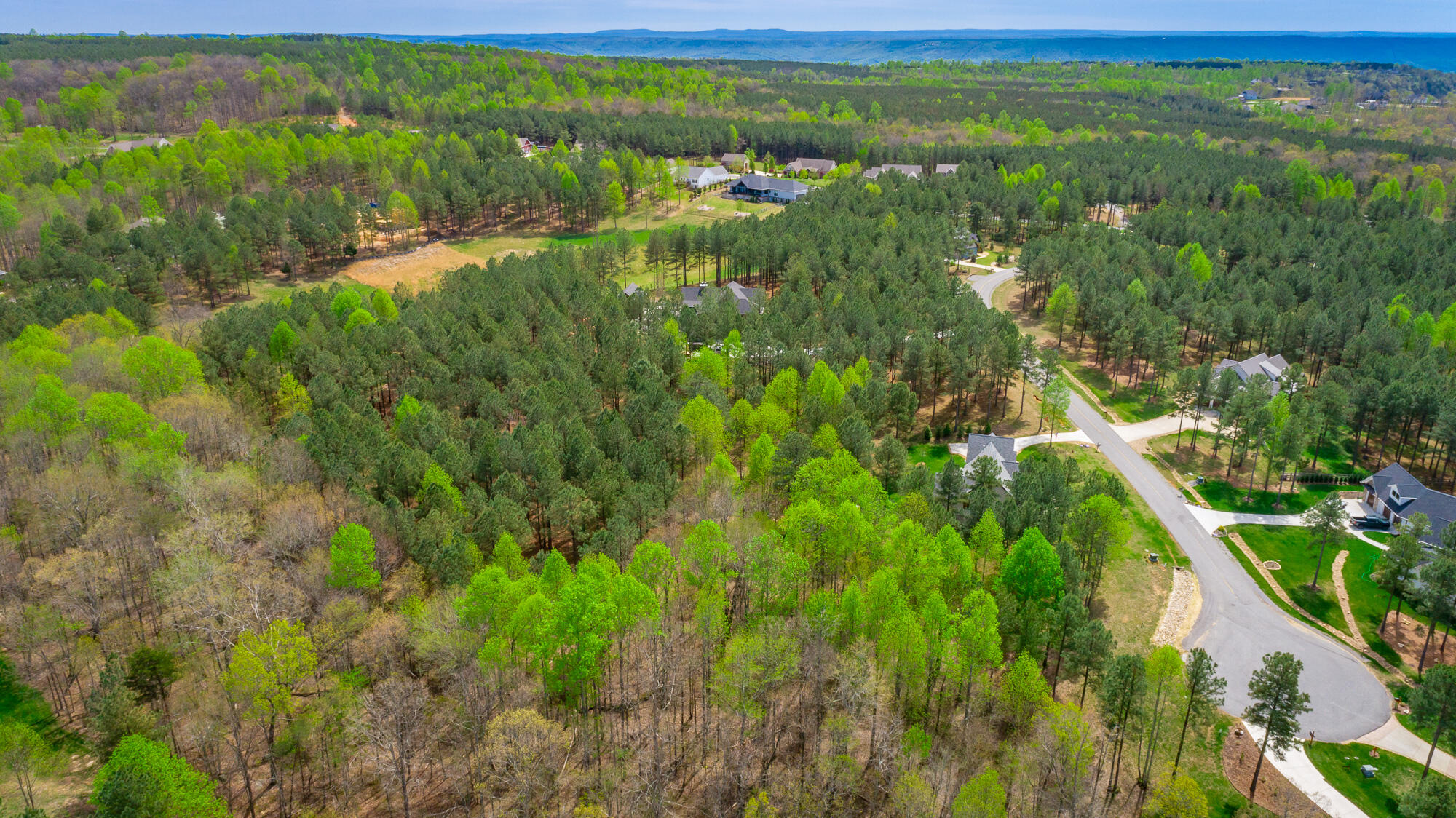 300 Deer Ridge Point, Unit SV190 Jasper, TN 37347 - Photo 24 of 70 300 Deer Ridge Pointe Lot JH190 HD-27